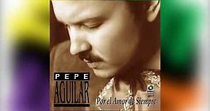 Llamarada - Pepe Aguilar del álbum Por El Amor De Siempre