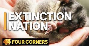 The fight to save Australia's endangered species | Four Corners