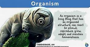 Organism - Definition and Examples - Biology Online Dictionary