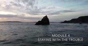 Module 4 Lecture: Staying With the Trouble