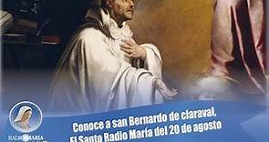 Conoce a San Bernardo de Claraval, el Santo Radio María del 20 de agosto
