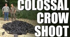 Fieldsports Britain - Colossal crow shoot