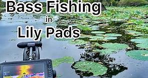 3 Baits and 3 Ways to Fish Lily Pads - Bass Fishing