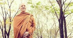 The Essence of the Buddha's Teachings | Ajahn Pasanno