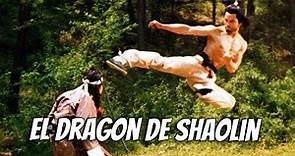 Wu Tang Collection - Dragon from Shaolin - El Dragon de Shaolin