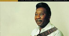Muddy Waters - His Best 1956 To 1964