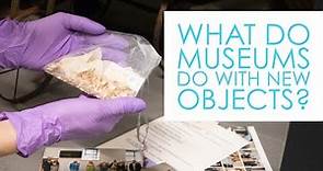 What do Museums do with New Objects? | Herbert Art Gallery & Museum