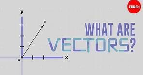 What is a vector? - David Huynh