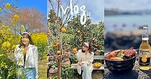 [韓國生活Vlog] 春天的濟州島就是這麼美！🍊 滿滿的油菜花、橘子咖啡廳、透明獨木舟、網美打卡咖啡廳 l Cher is chercher