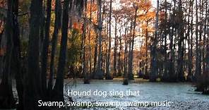 Swamp Music. Lynyrd Skynyrd. (1974)