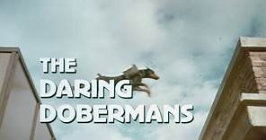 THE DARING DOBERMANS (1973) Trailer