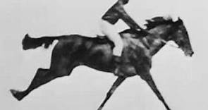 El caballo en movimiento (Race Horse, 1878) de Eadweard Muybridge