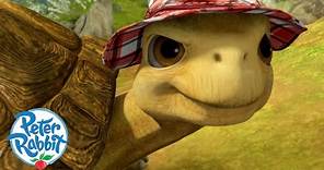 ​@OfficialPeterRabbit - Meet Mr. Tolly, the Tortoise 🐢 | Meet the Characters | Cartoons for Kids
