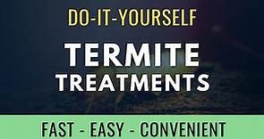DIY Termite Treatments: Get rid of Termites Fast & Cheap
