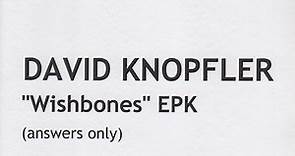 David Knopfler - "Wishbones" EPK