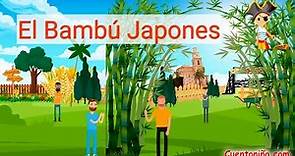 El Bambú Japonés 🌿【cuento CORTO 💖 con VALORES】