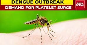 Dengue Outbreak: Why Dengue Brings Down Platelet Count?