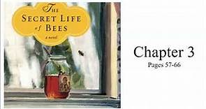 The Secret Life of Bees Chapter 3 (pages 57-66)