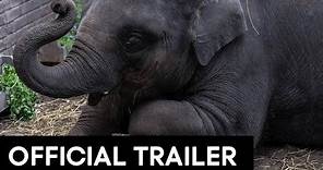 ZOO OFFICIAL MOVIE TRAILER [HD]