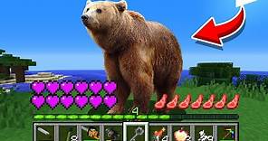 How to play BEAR in Minecraft! Real life family BEAR! NOOB VS PRO Animation