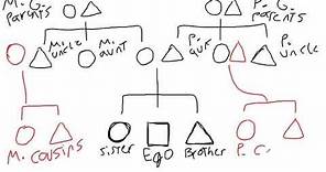 Introduction to Kinship Diagrams | Cultural Anthropology