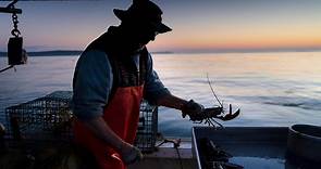 Maine lobster fishing industry set record value of $725 million in 2021