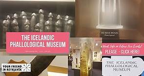 The Icelandic Phallological Museum - Guided Tour