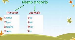 Il nome - comune o proprio - di persona, animale o cosa - il genere - il numero.
