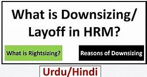 What is Layoff or Downsizing in HR Management? What is Rightsizing? Reasons of Downsizing