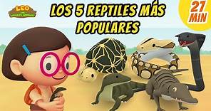 Los 5 Reptiles Más Populares Episodio Compilación (Español) - Leo, El Explorador | Animación