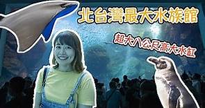 北台灣最大水族館推薦！桃園青埔Xpark水族館門票、交通整理！八公尺高的大水缸超壯觀，必看可愛企鵝隧道、療癒水母