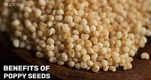 Health Benefits of Poppy seeds | Remedy for Stress Relief | @VentunoYoga