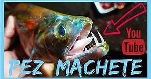 PESCA de PEZ 🐬 MACHETE [PUERTO VILLARROEL 2019] COCHABAMBA BOLIVIA