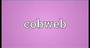 Cobweb Meaning