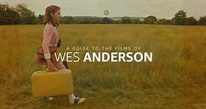 A Guide to the Films of Wes Anderson