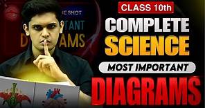 Class 10th - Science Most Important Diagrams🔥| Don’t Miss this| Prashant Kirad