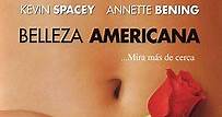 Ver Belleza Americana (1999) Online | Cuevana 3 Peliculas Online