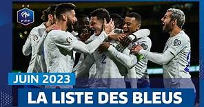 Les 23 Bleus pour juin 2023, Equipe de France I FFF 2023