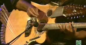 Pat Metheny Pikasso 42-string guitar