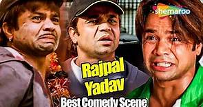 राजपाल यादव के धमाकेदार कॉमेडी सीन्स | Best Of Rajpal Yadav Comedy | Rajpal Yadav Comedy