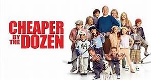 Cheaper by the Dozen (2003) Movie | Steve Martin, Hilary Duff, Bonnie Hunt | Full Facts and Review