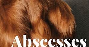 Abscesses in Dogs: Symptoms and Treatment