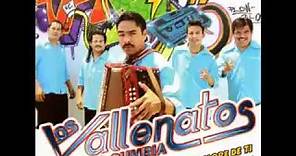 Los Vallenatos de la Cumbia Mix