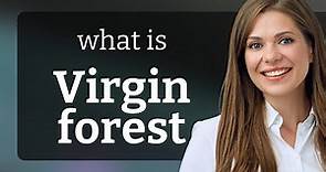 Exploring the Wilds: Understanding 'Virgin Forest'