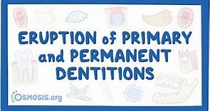 Eruption of primary and permanent dentitions