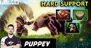 Puppey Lone Druid Hard Support - Dota 2 Patch 7.34e Pro Pub Full gameplay