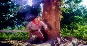 Os Trapalhões - Robin Hood: O Trapalhão Da Floresta (1973)
