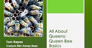 2 All About Queens: Queen Bee Basics