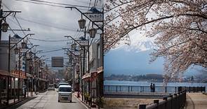 東京近郊景點一次看！河口湖山中湖櫻花、富士山朝聖三天兩日遊 | 聯合新聞網