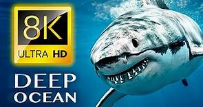THE DEEP OCEAN | 8K TV ULTRA HD / Full Documentary